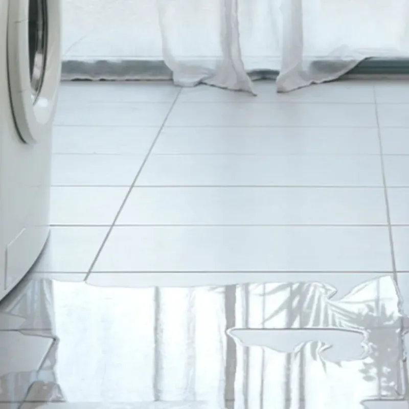 Appliance Leak Cleanup in Iron County, MO