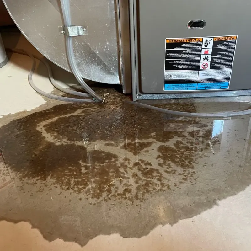 Pipe Burst and Leak Restoration in Iron County, MO