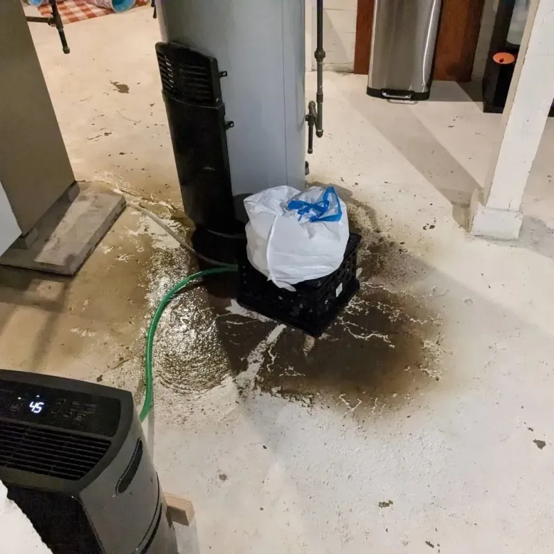 Sewage Backup Cleanup Service in Iron County, MO